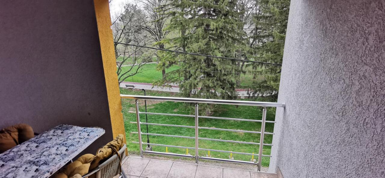 Apartments Banjica Soko Banja Bagian luar foto
