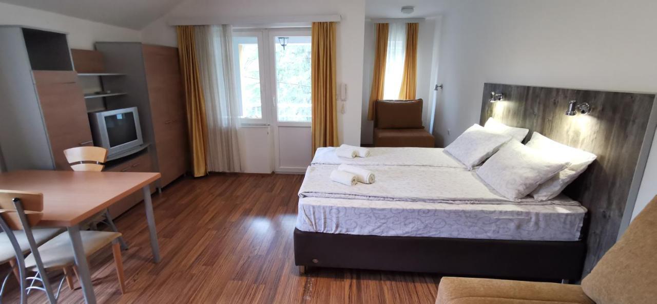 Apartments Banjica Soko Banja Bagian luar foto