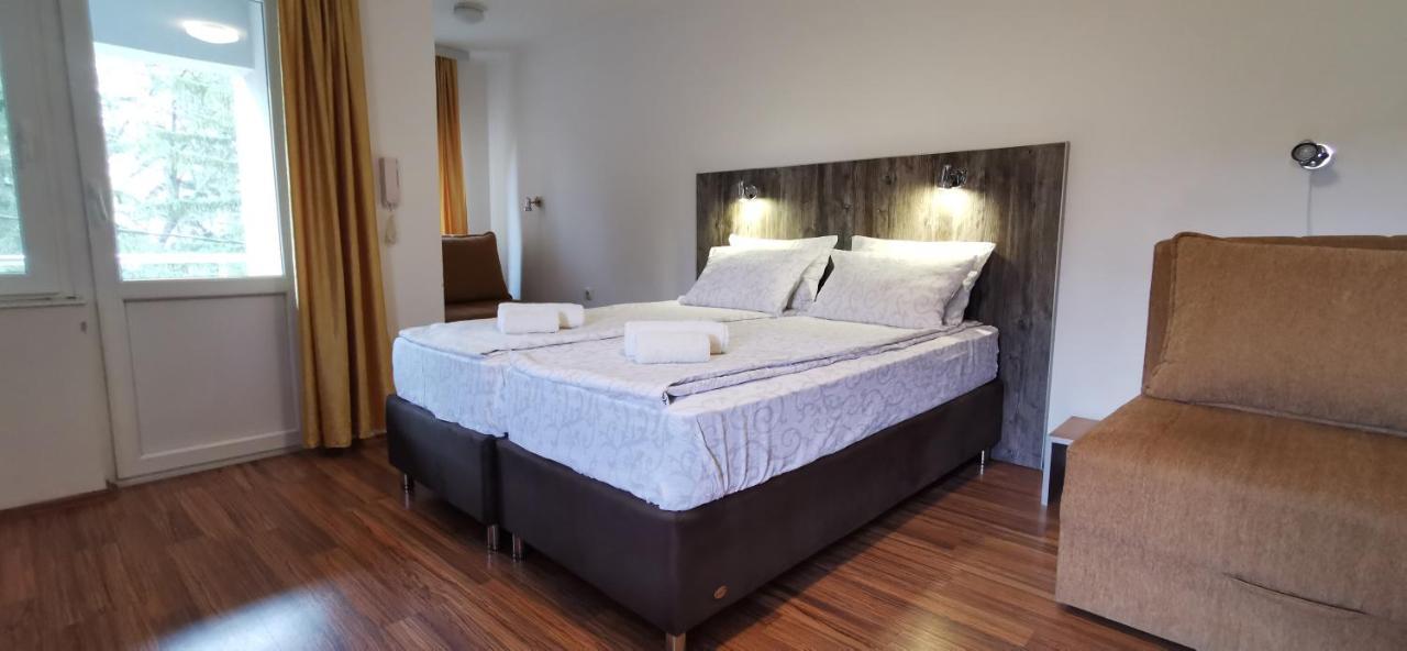 Apartments Banjica Soko Banja Bagian luar foto