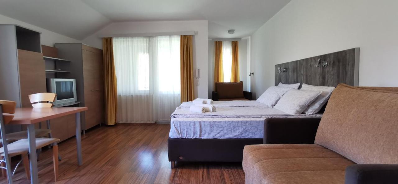 Apartments Banjica Soko Banja Bagian luar foto