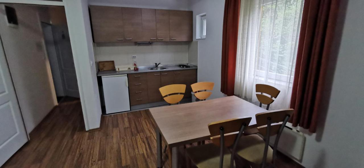 Apartments Banjica Soko Banja Bagian luar foto