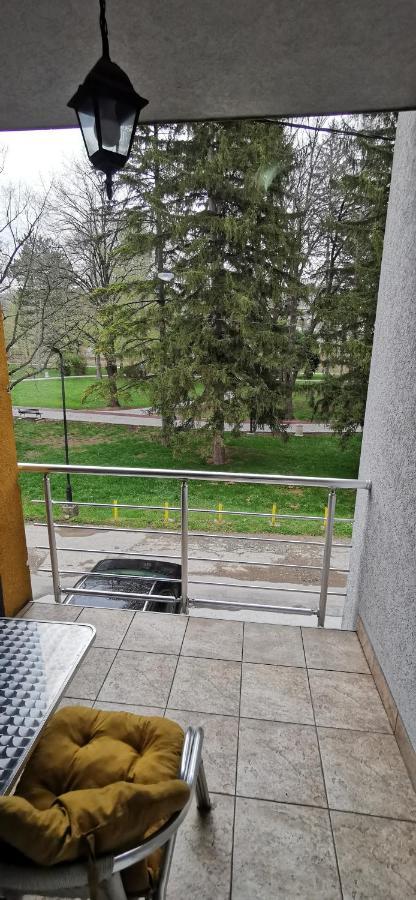 Apartments Banjica Soko Banja Bagian luar foto