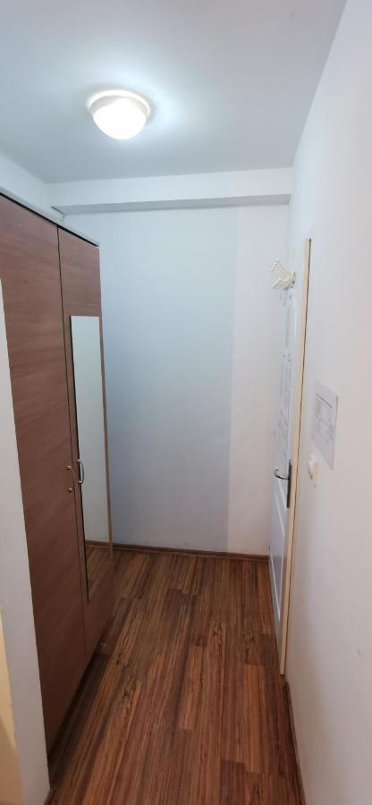 Apartments Banjica Soko Banja Bagian luar foto