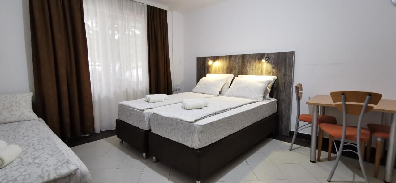 Apartments Banjica Soko Banja Bagian luar foto