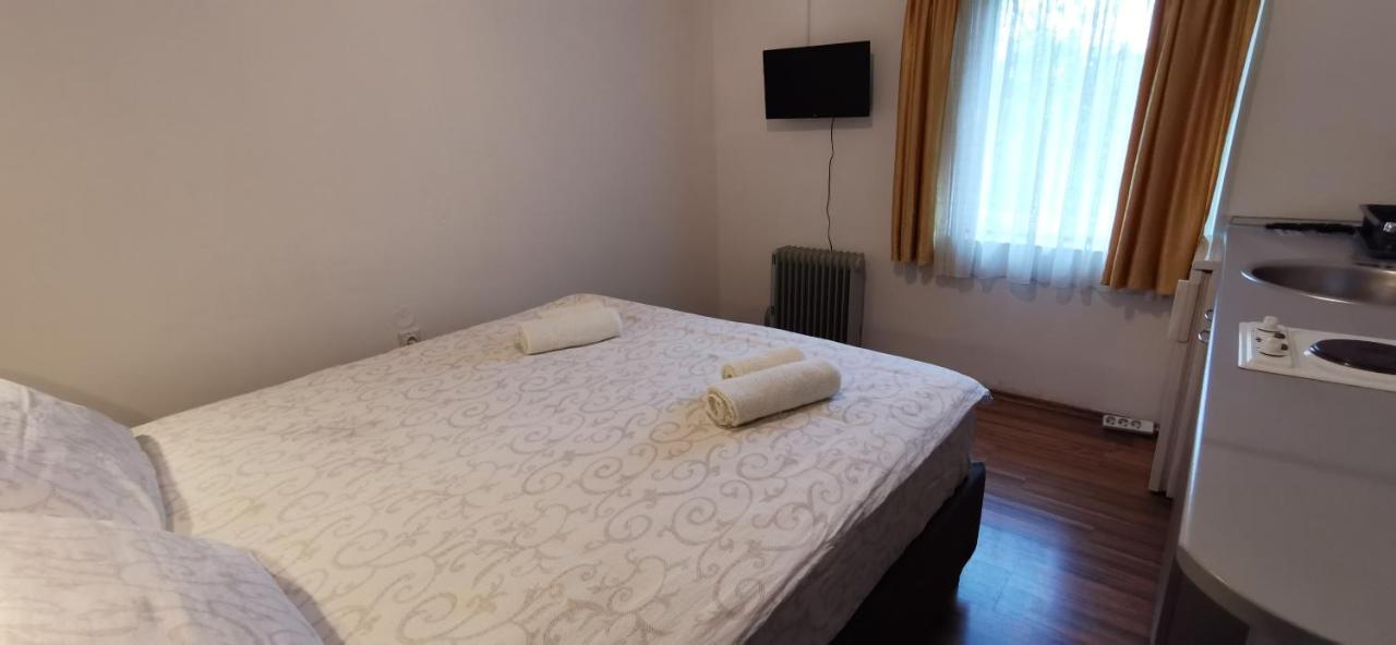 Apartments Banjica Soko Banja Bagian luar foto