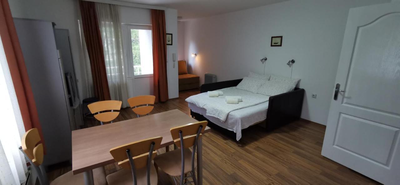 Apartments Banjica Soko Banja Bagian luar foto
