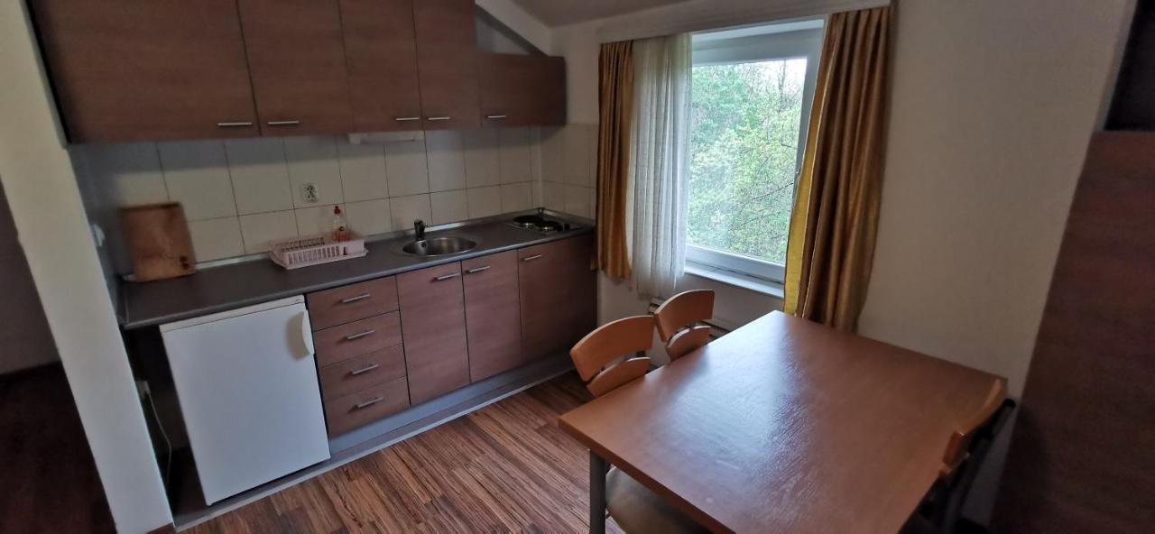 Apartments Banjica Soko Banja Bagian luar foto