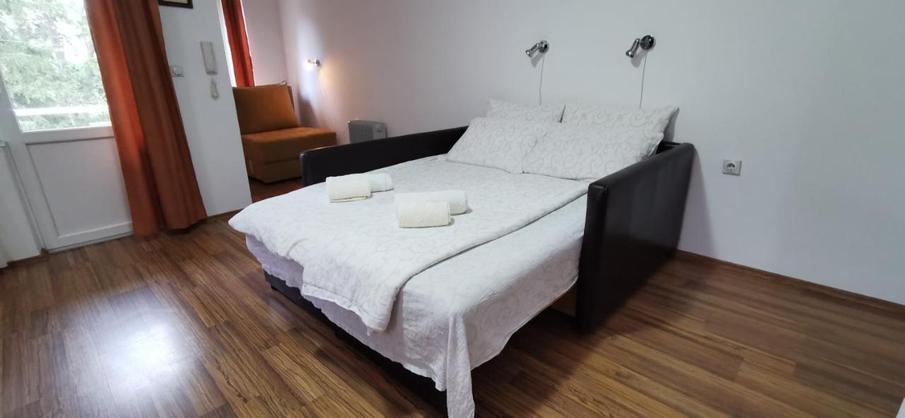 Apartments Banjica Soko Banja Bagian luar foto