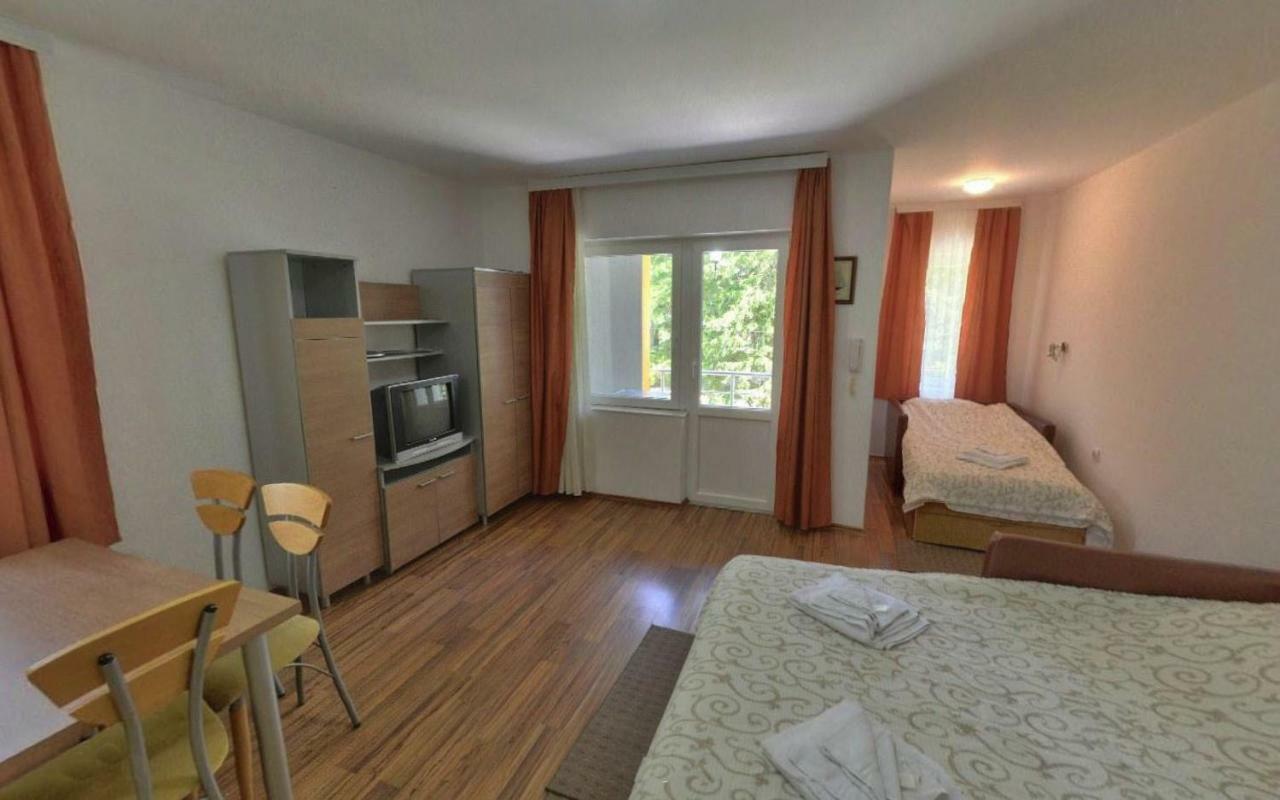Apartments Banjica Soko Banja Bagian luar foto